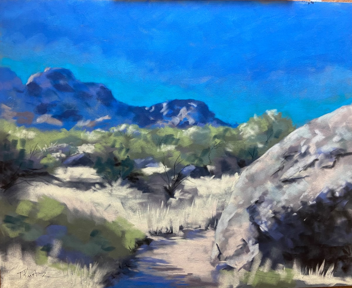 Arid Distance by T Kurtz 