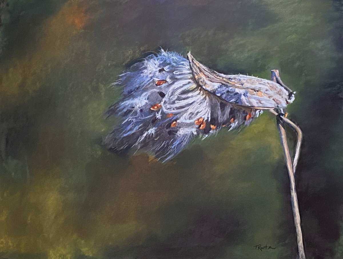 Wind Dancers by T Kurtz 
