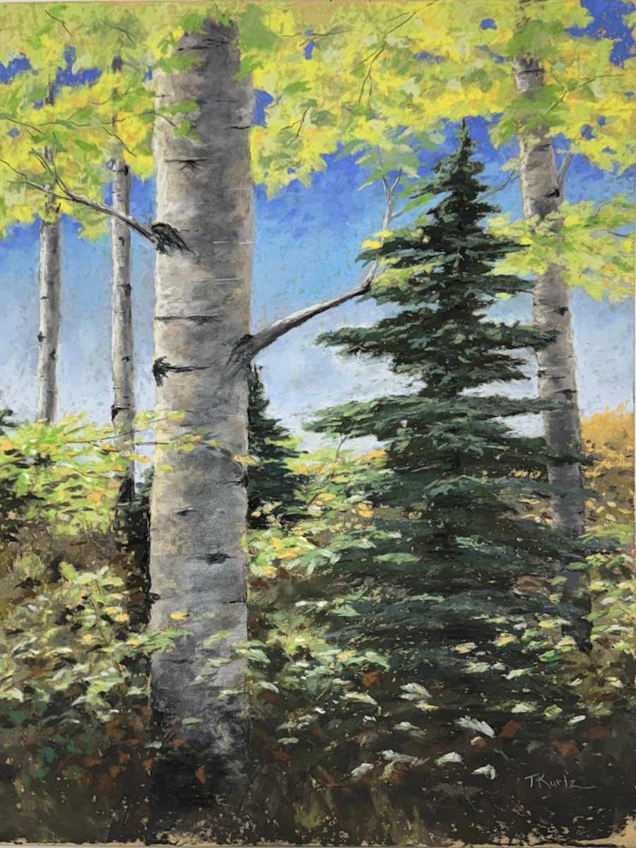 View Through the Trees by T Kurtz 