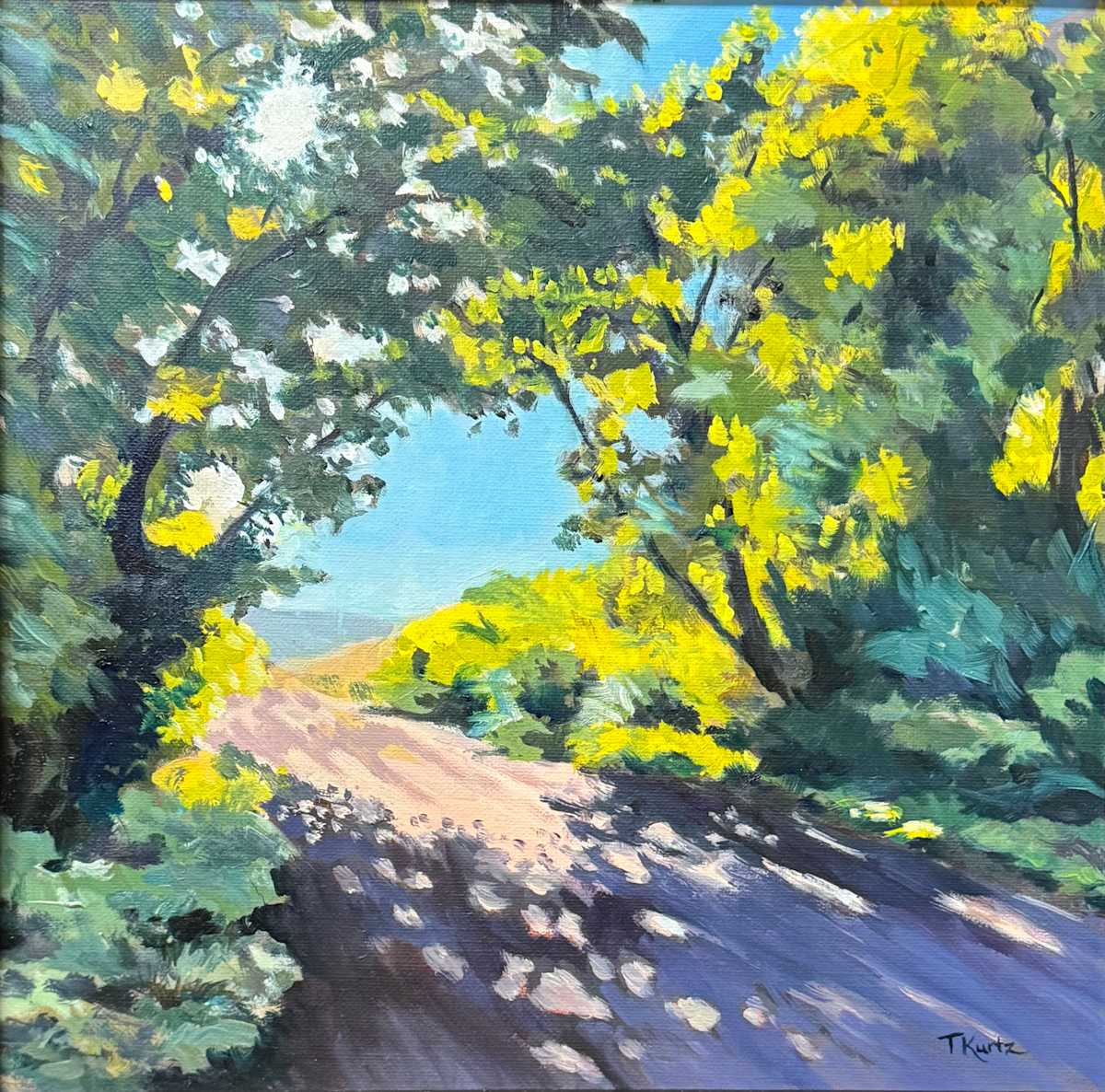 Filtered Sunlight Path by T Kurtz, Image 1.