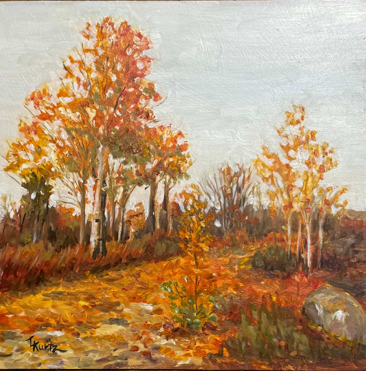 Fall Littered Path by T Kurtz, Image 1.