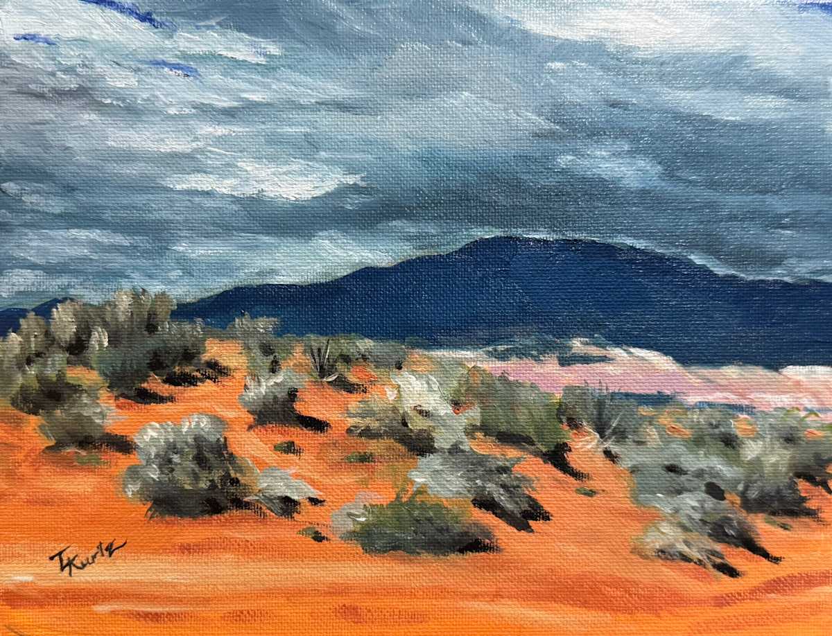 Passing Storms by T Kurtz 