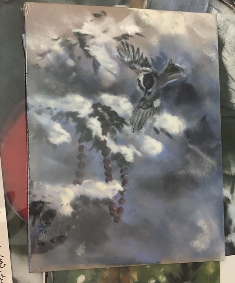 Landing Zone by T Kurtz 