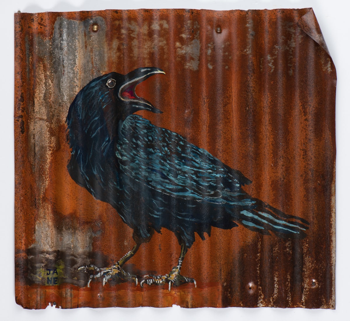 Animals Matter: Raven by John Adams, Image 1.