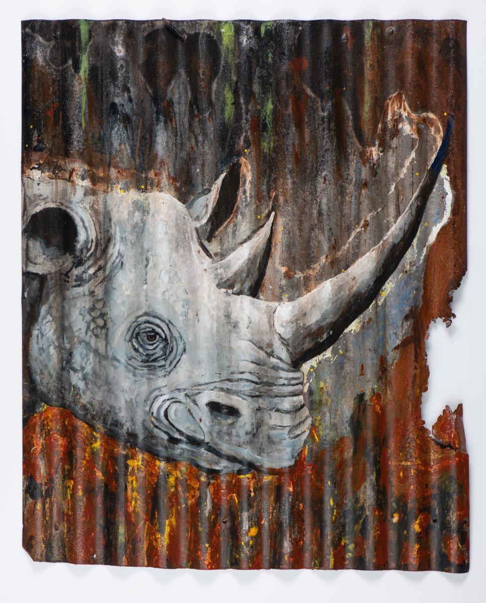 Animals Matter: Rhino by John Adams 