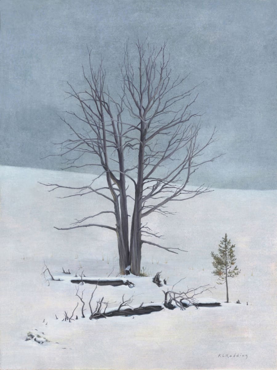 Witness by Kelly Radding, Image 1.