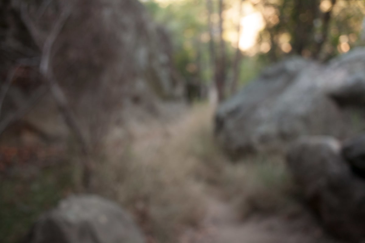 Path by Peter Honig, Image 1.