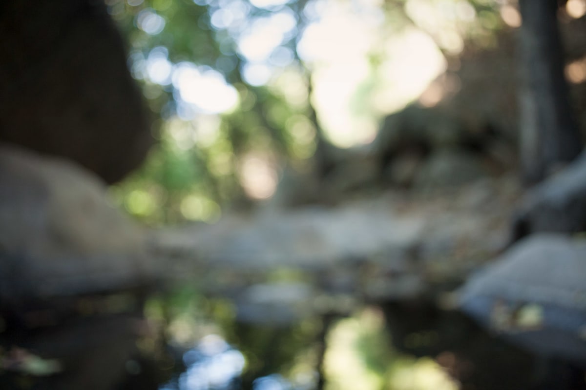 Stream by Peter Honig, Image 1.