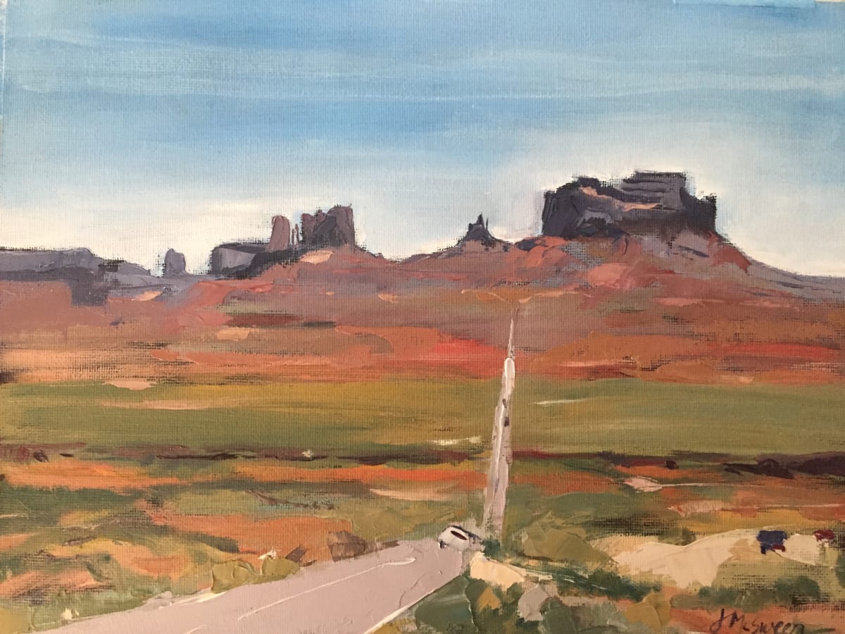 Into Monument valley by Judy McSween 