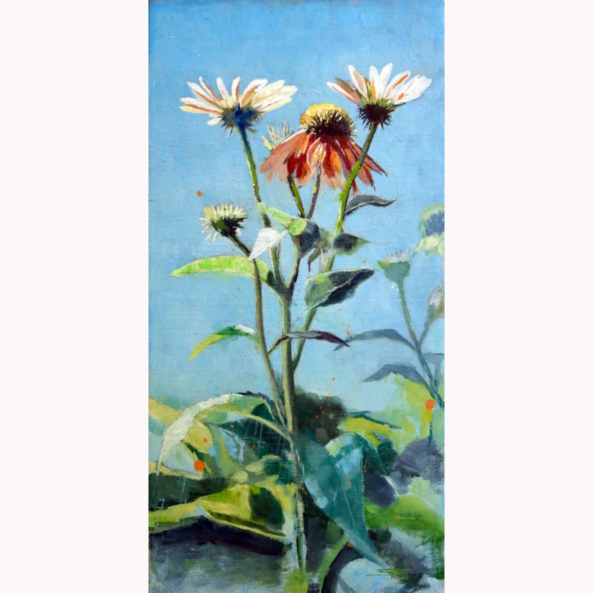 Coneflowers by Stacey B. Street 