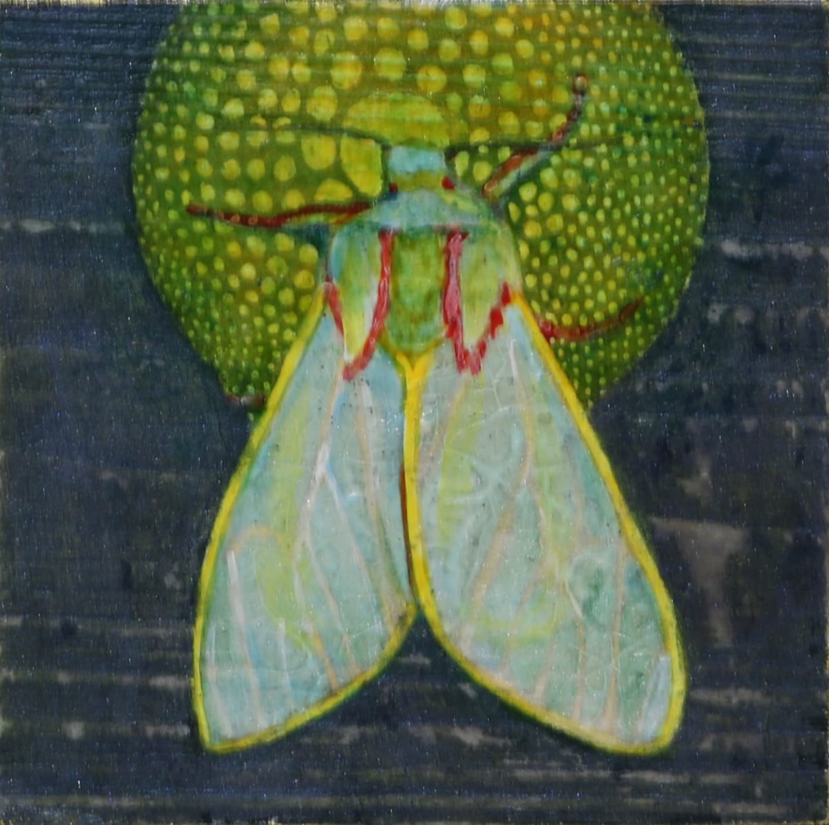 Moth 07 by Stacey B. Street 