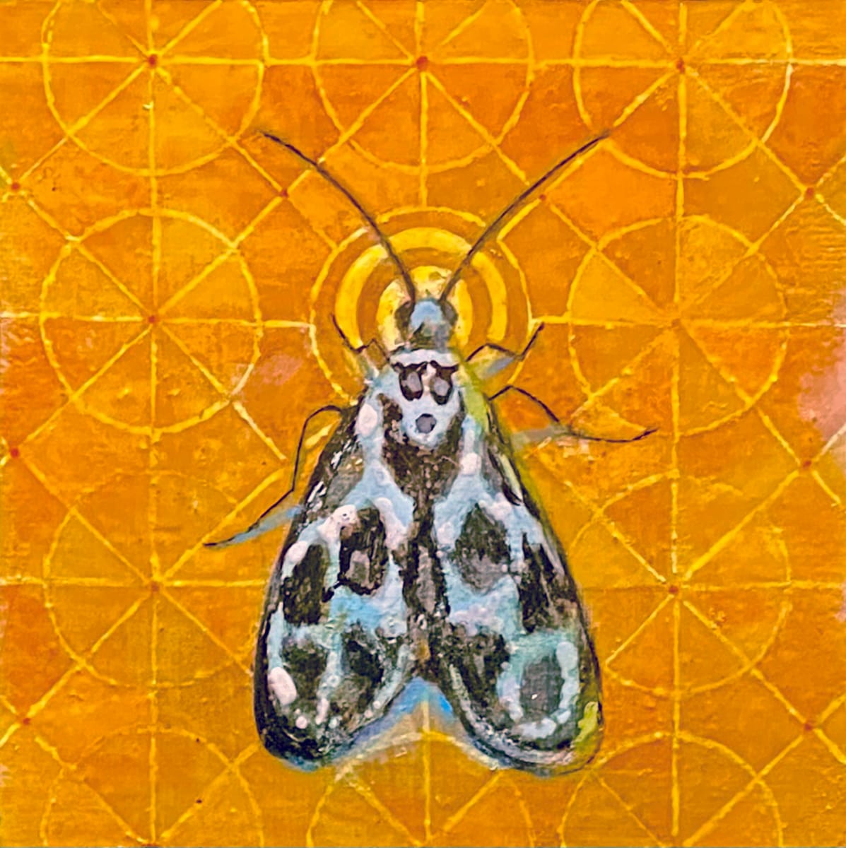 Moth 04 by Stacey B. Street 