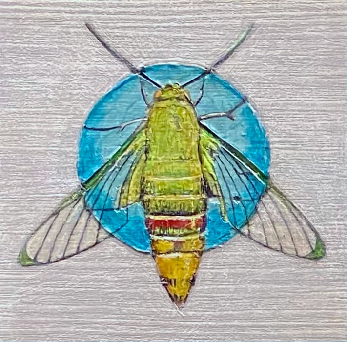 Moth 09 by Stacey B. Street 