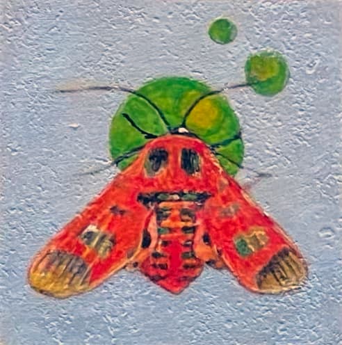 Moth 11 