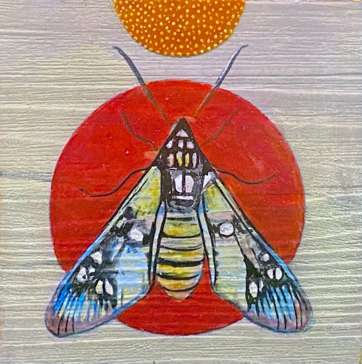 Moth 14 by Stacey B. Street 