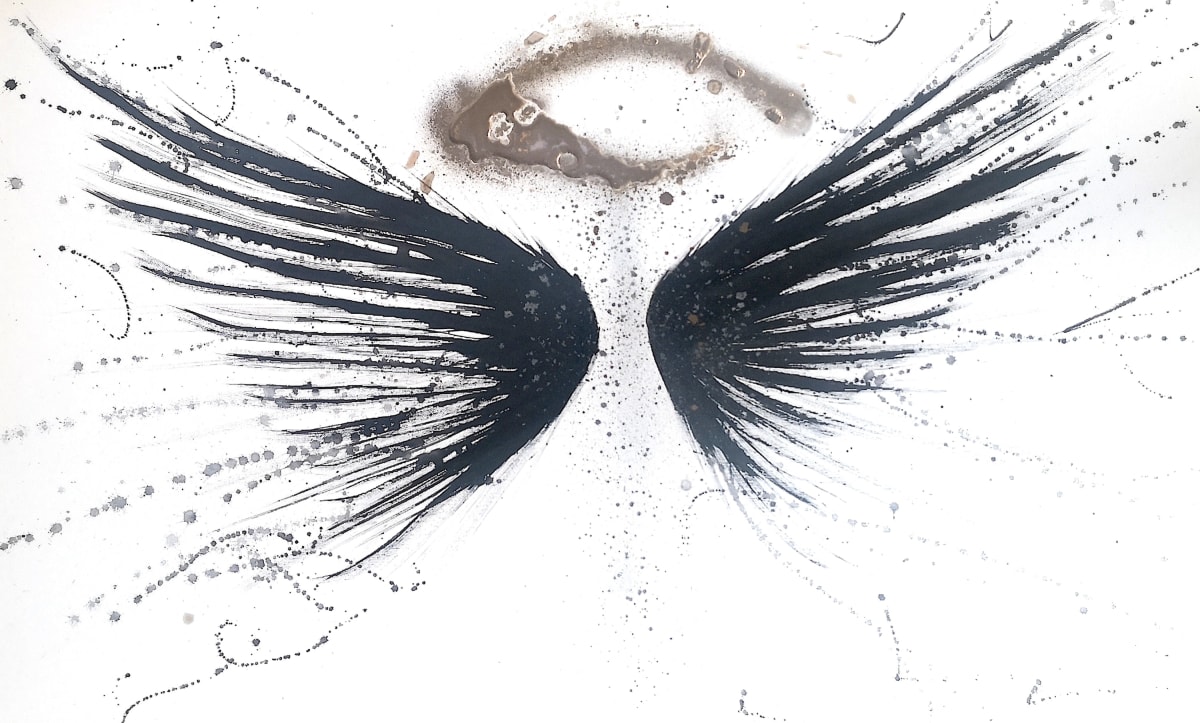 Fly 
