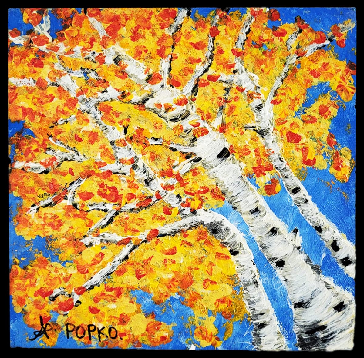 Looking Up by April Popko 