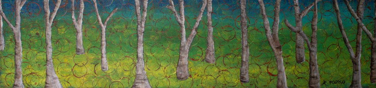 Birch Trees Forest 