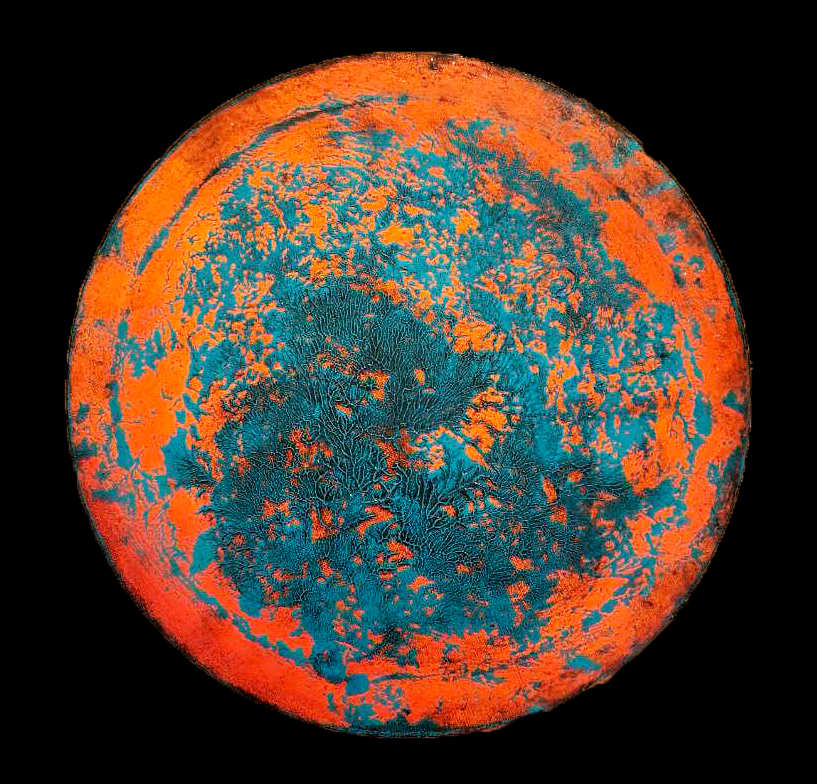Orange Pilled by April Popko, Image 5.
