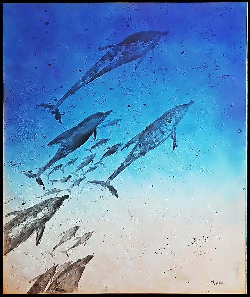 Swimming With Dolphins by April Popko 
