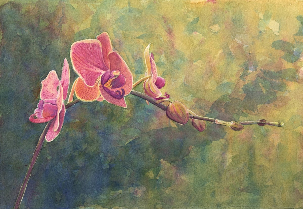 Orchid 1 by Michele Tabor Kimbrough 