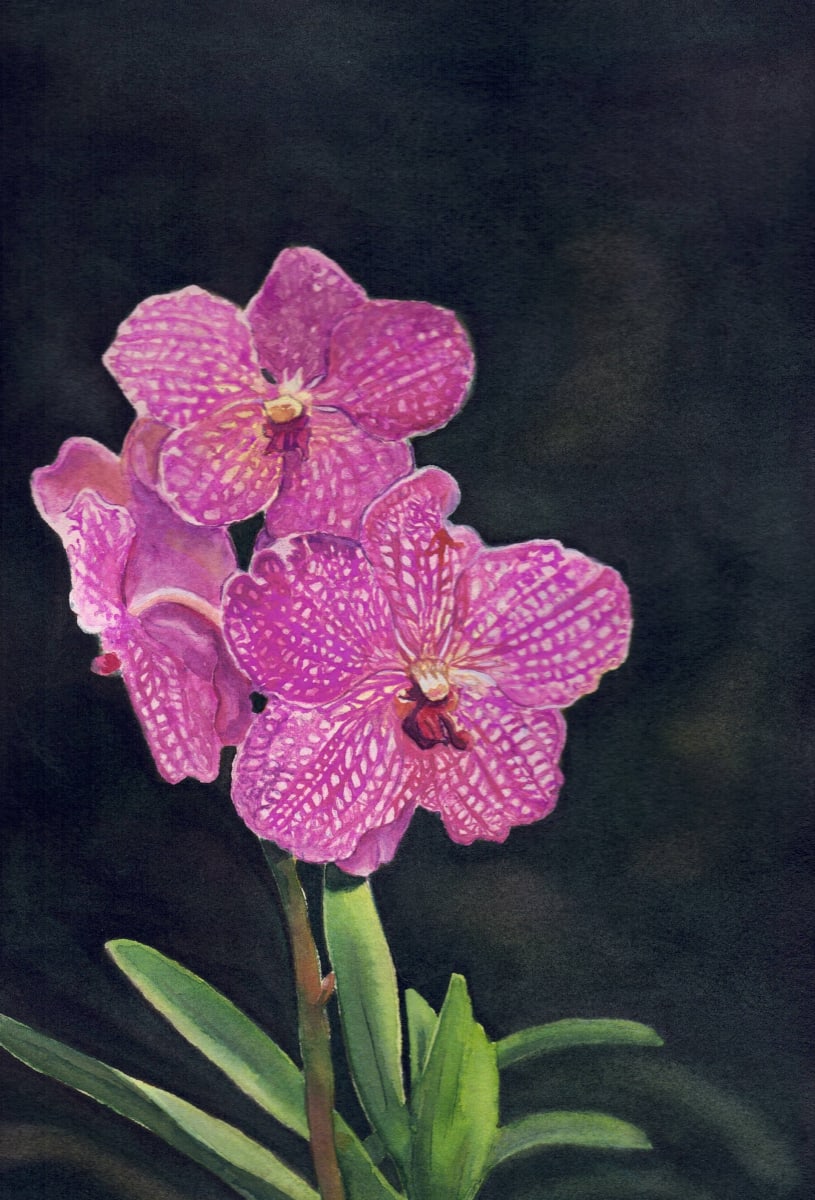 Orchid 10 by Michele Tabor Kimbrough 