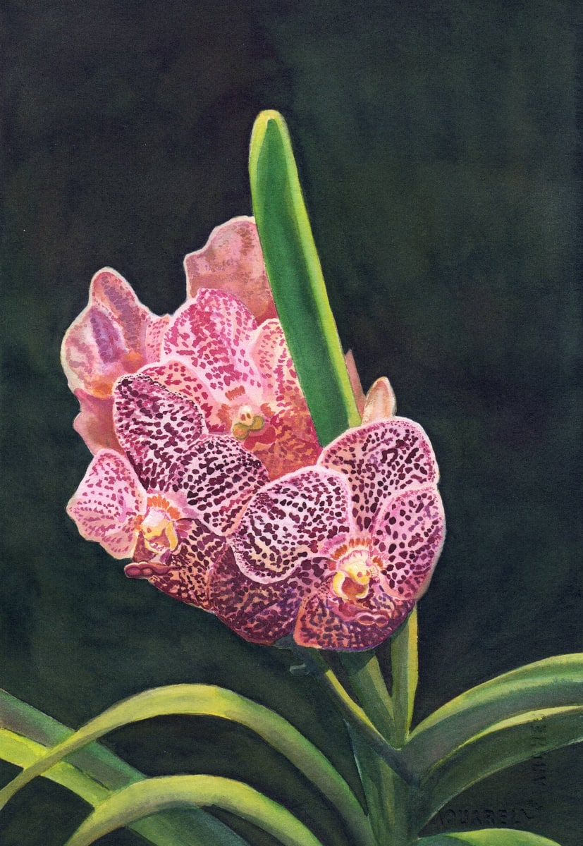 Orchid 11 by Michele Tabor Kimbrough 