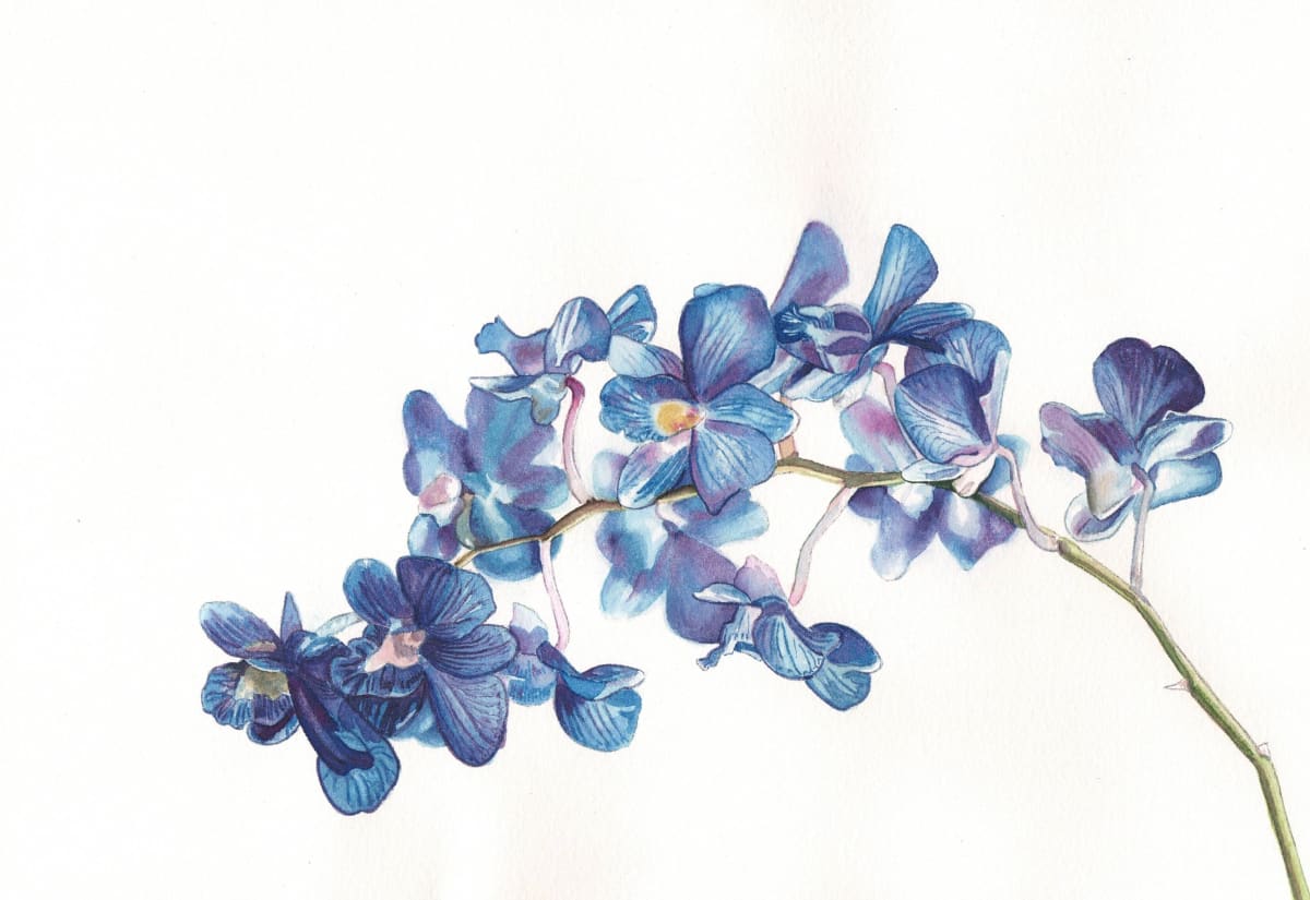 Orchid 12 by Michele Tabor Kimbrough 