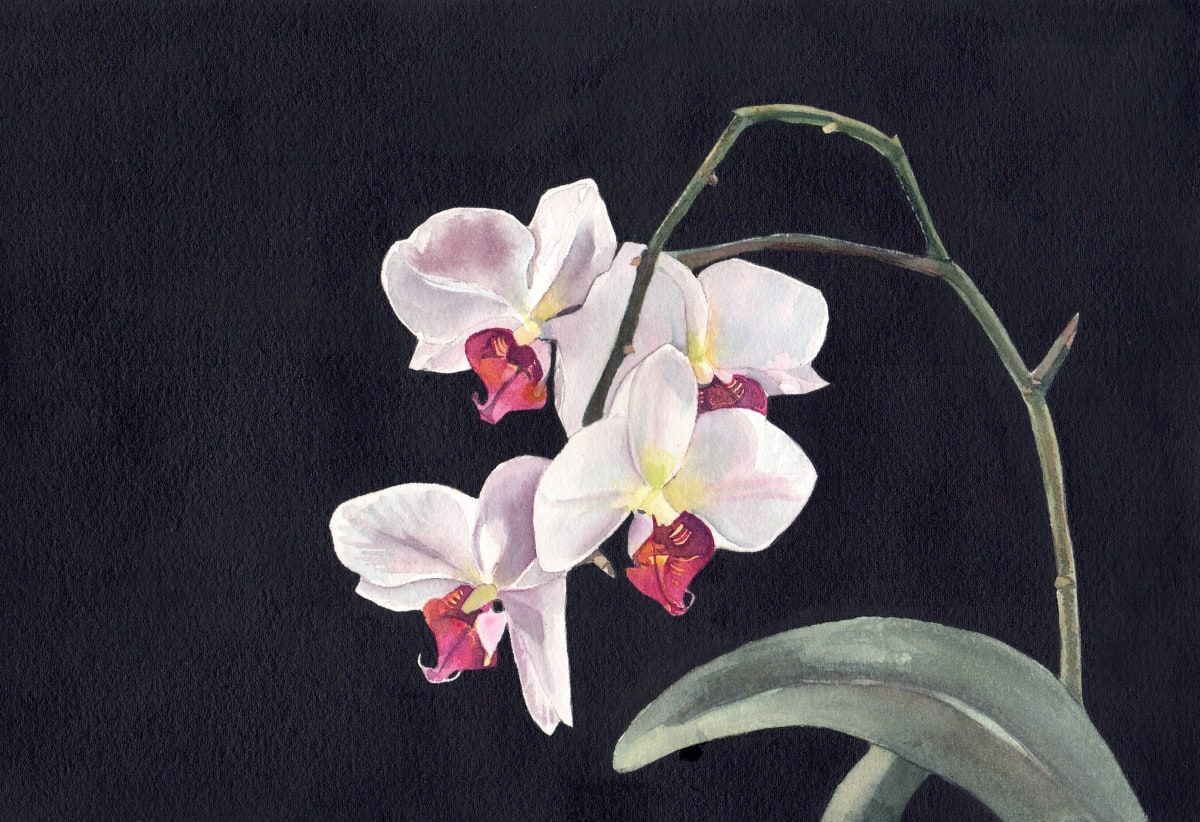 Orchid 13 by Michele Tabor Kimbrough 