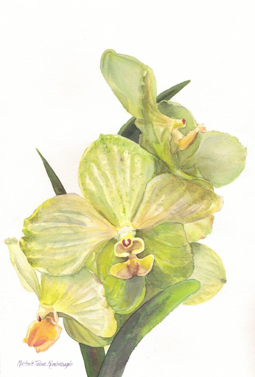 Orchid 5 by Michele Tabor Kimbrough 