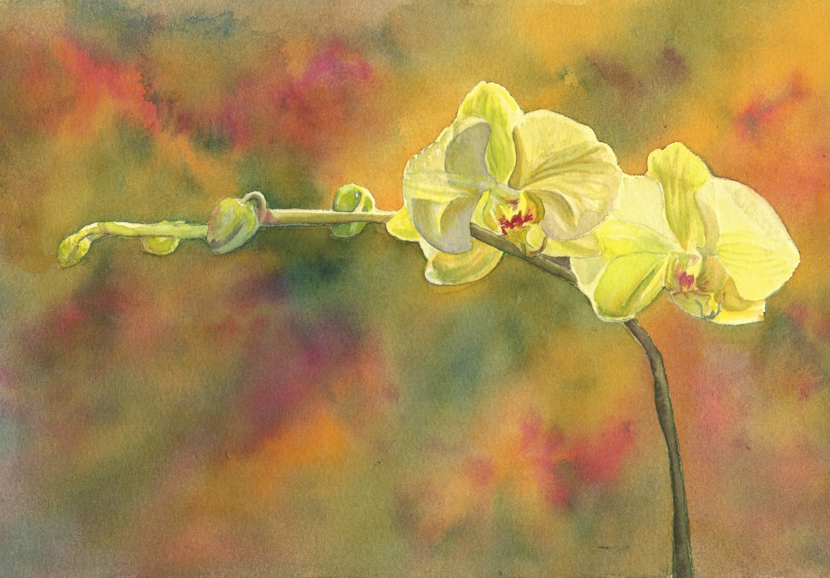 Orchid 9 by Michele Tabor Kimbrough 