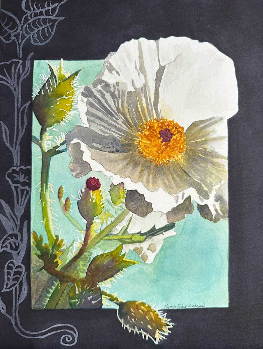 Prickly White Poppy by Michele Tabor Kimbrough 