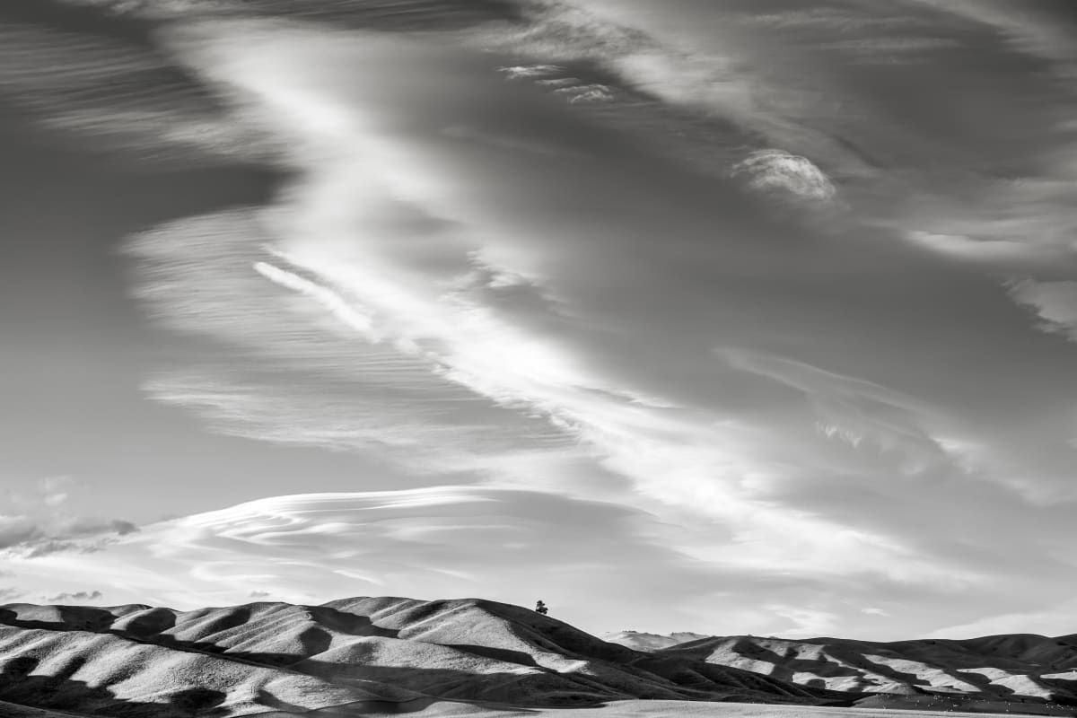 Lone Tree Chatto Creek #1