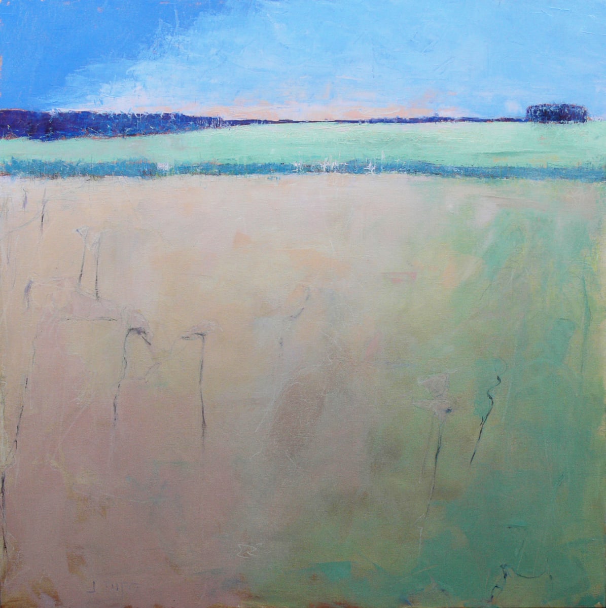 Fields, Image 1.