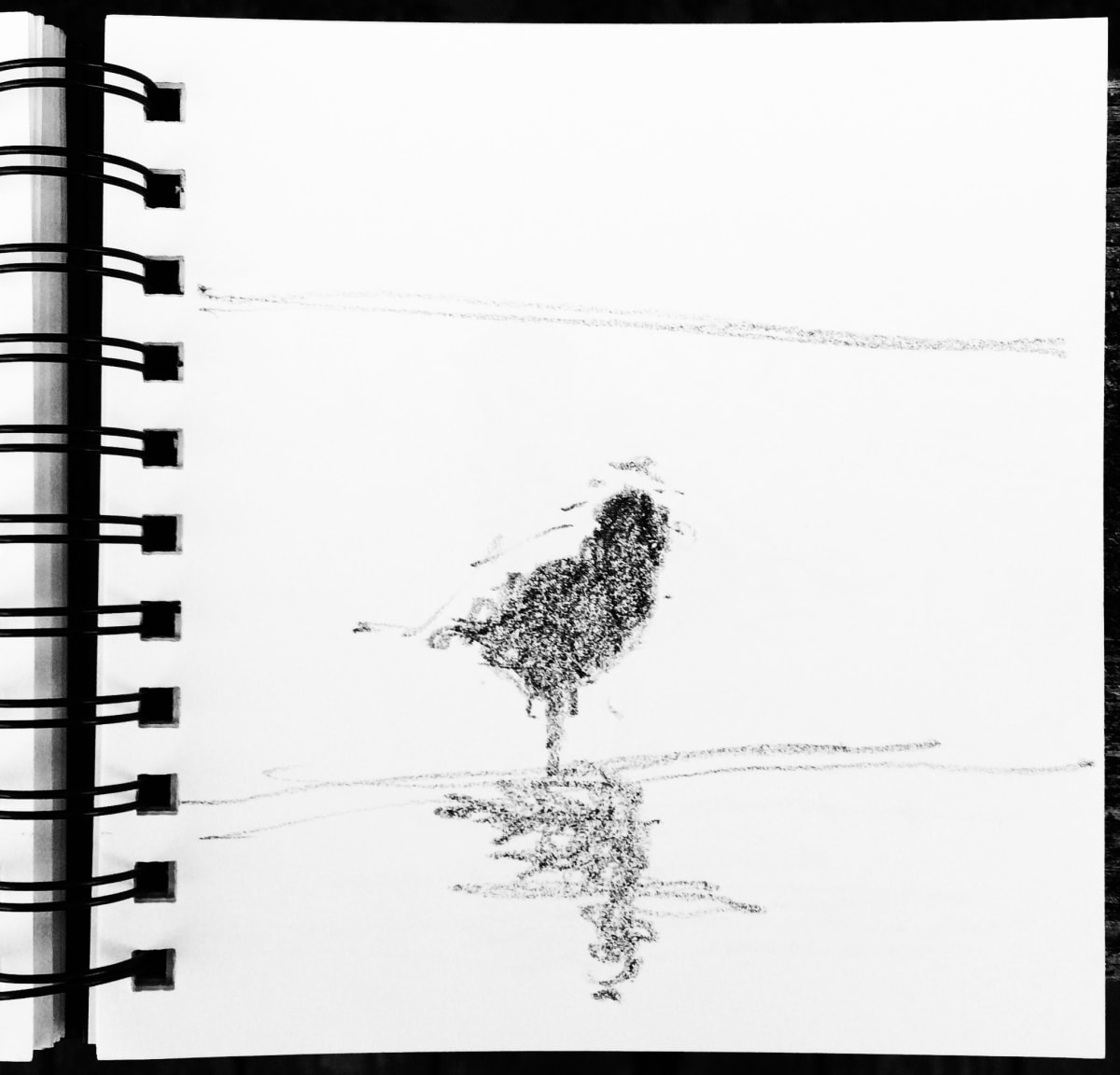 Piper 8, Image 1.