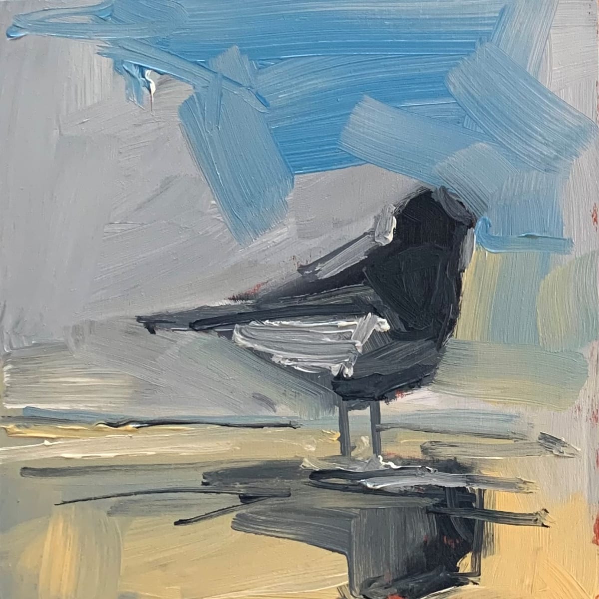 Plover 1, Image 1.