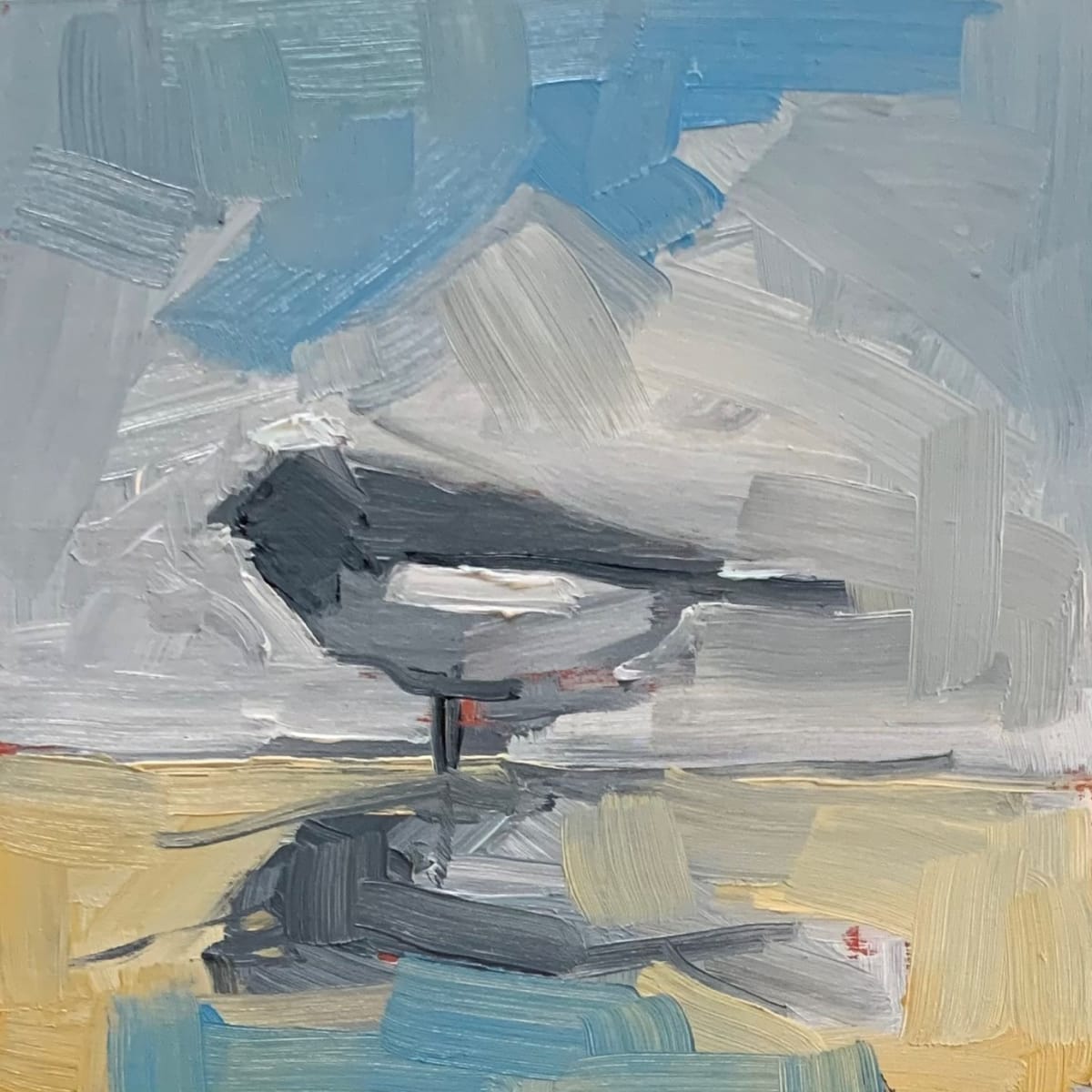 Plover 3, Image 1.