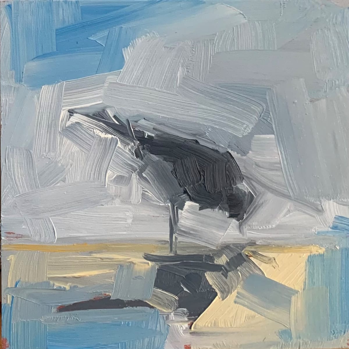 Plover 4, Image 1.