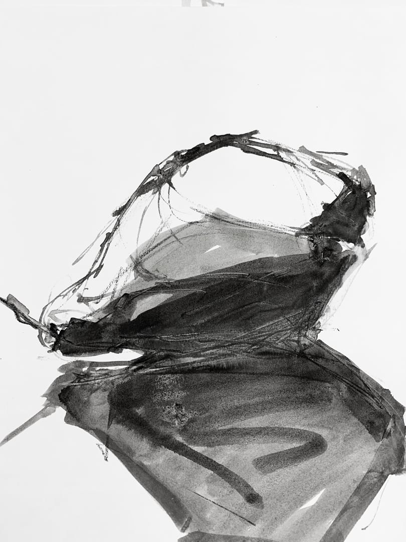 Pear Reflection, Image 1.