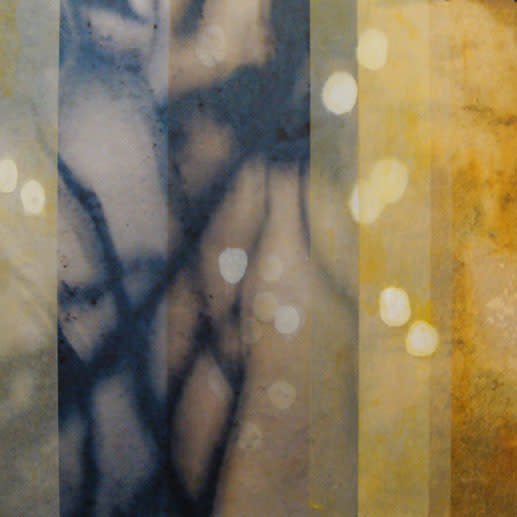 Dancing Light 40 by Jane Guthridge 