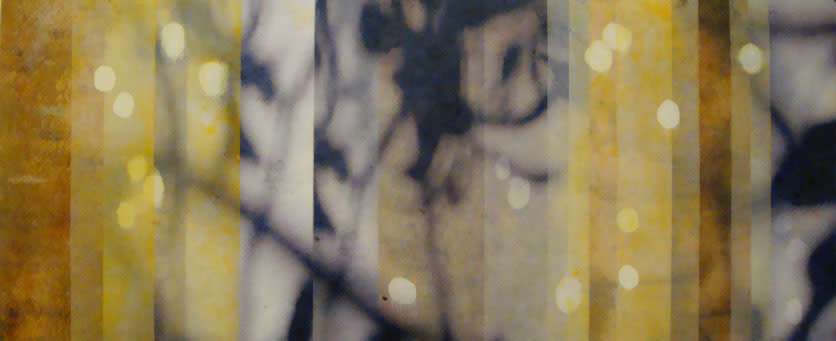 Dancing Light 41 by Jane Guthridge 