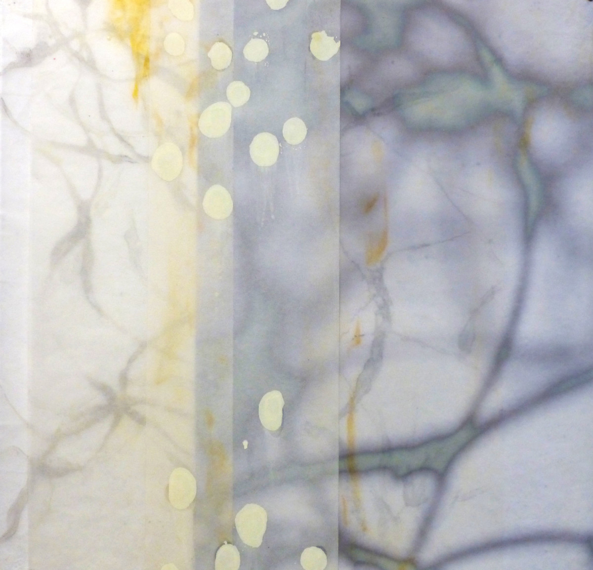 Dancing Light 48 by Jane Guthridge 