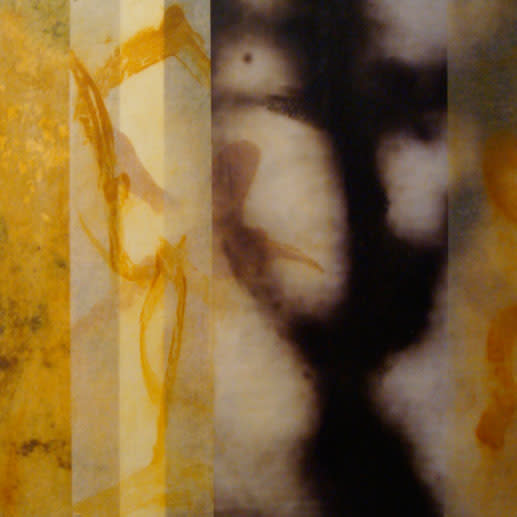 In praise of shadows 20 by Jane Guthridge 