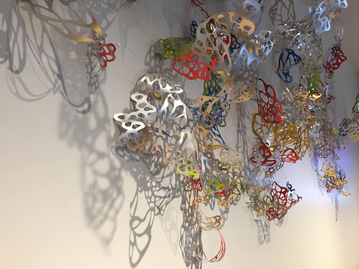 Reflected Light- Boulder by Jane Guthridge 