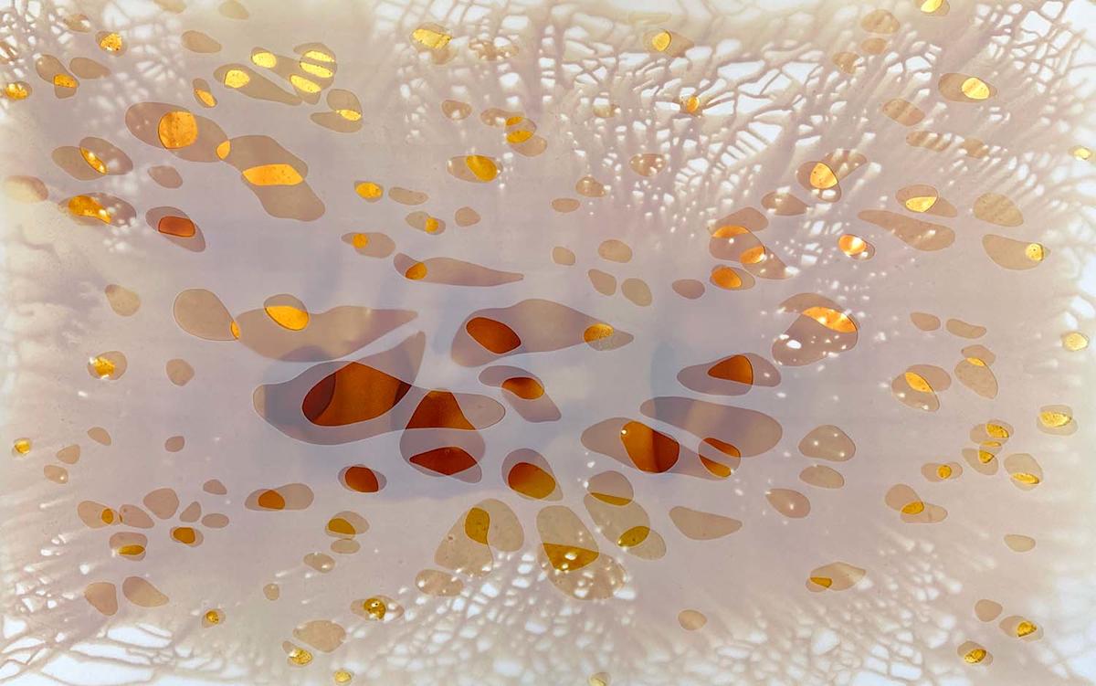 Shimmer 16 by Jane Guthridge 