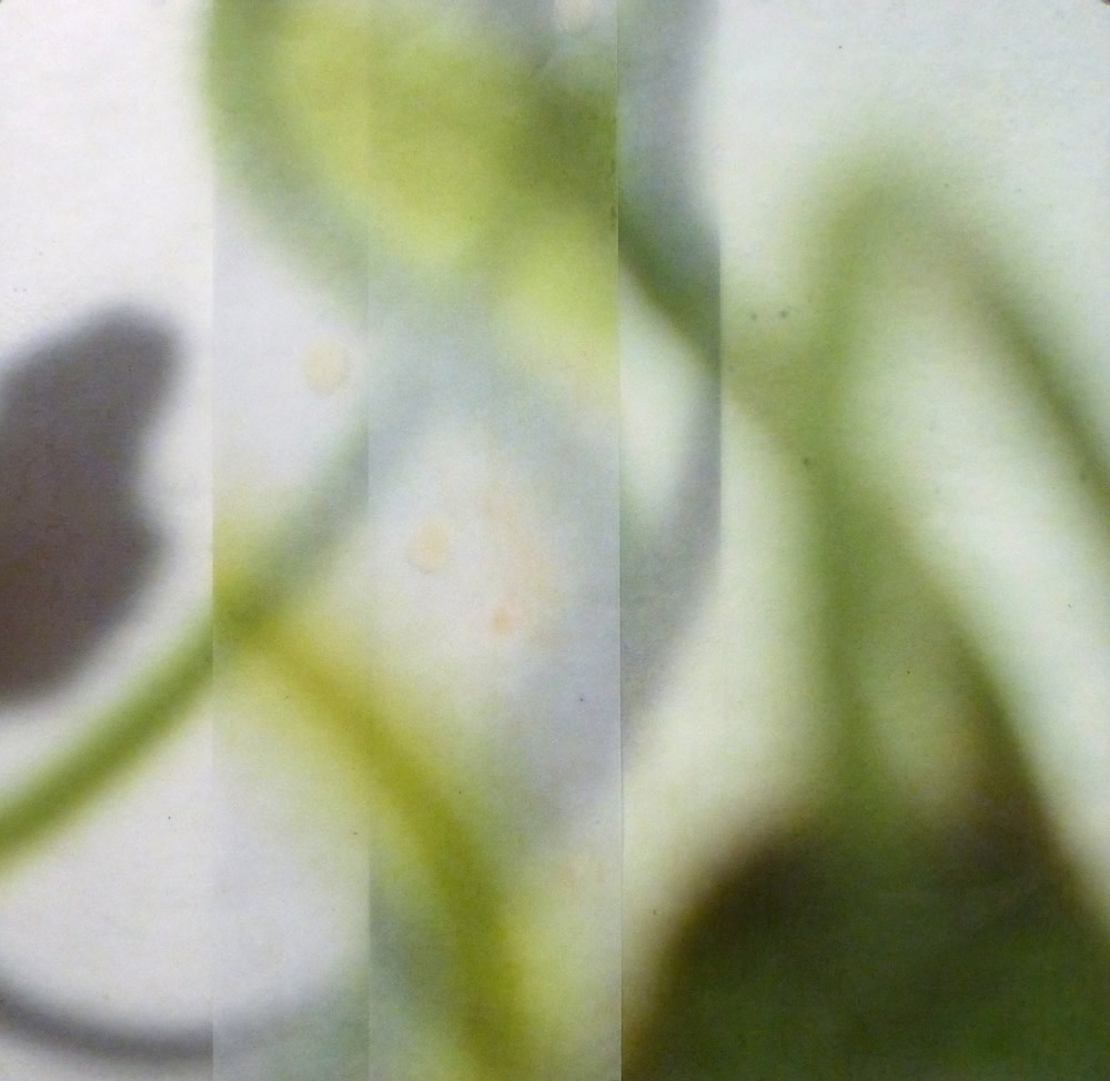 The Space Between 58 by Jane Guthridge 