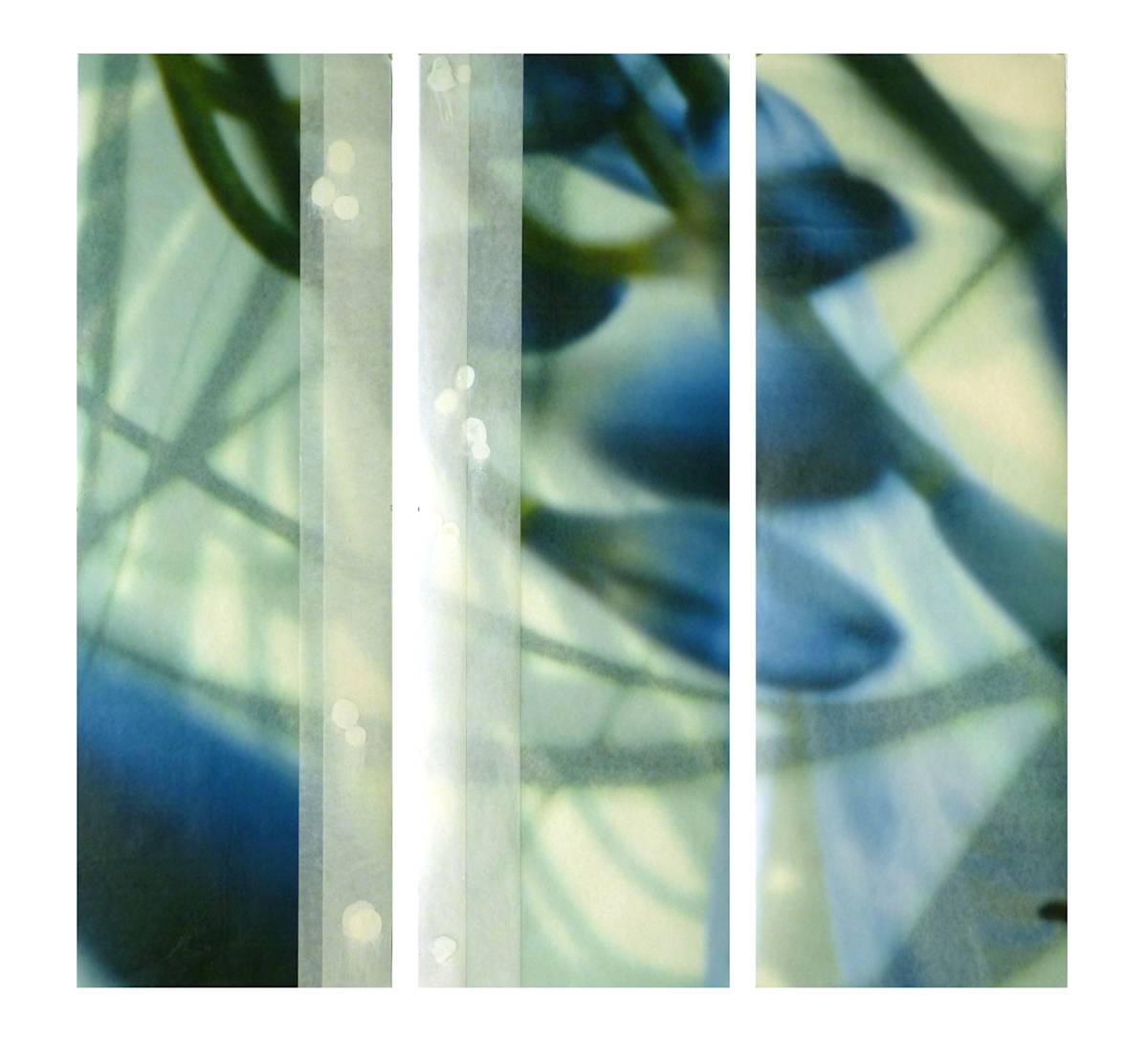 The Space Between triptych 21 by Jane Guthridge, Image 1.