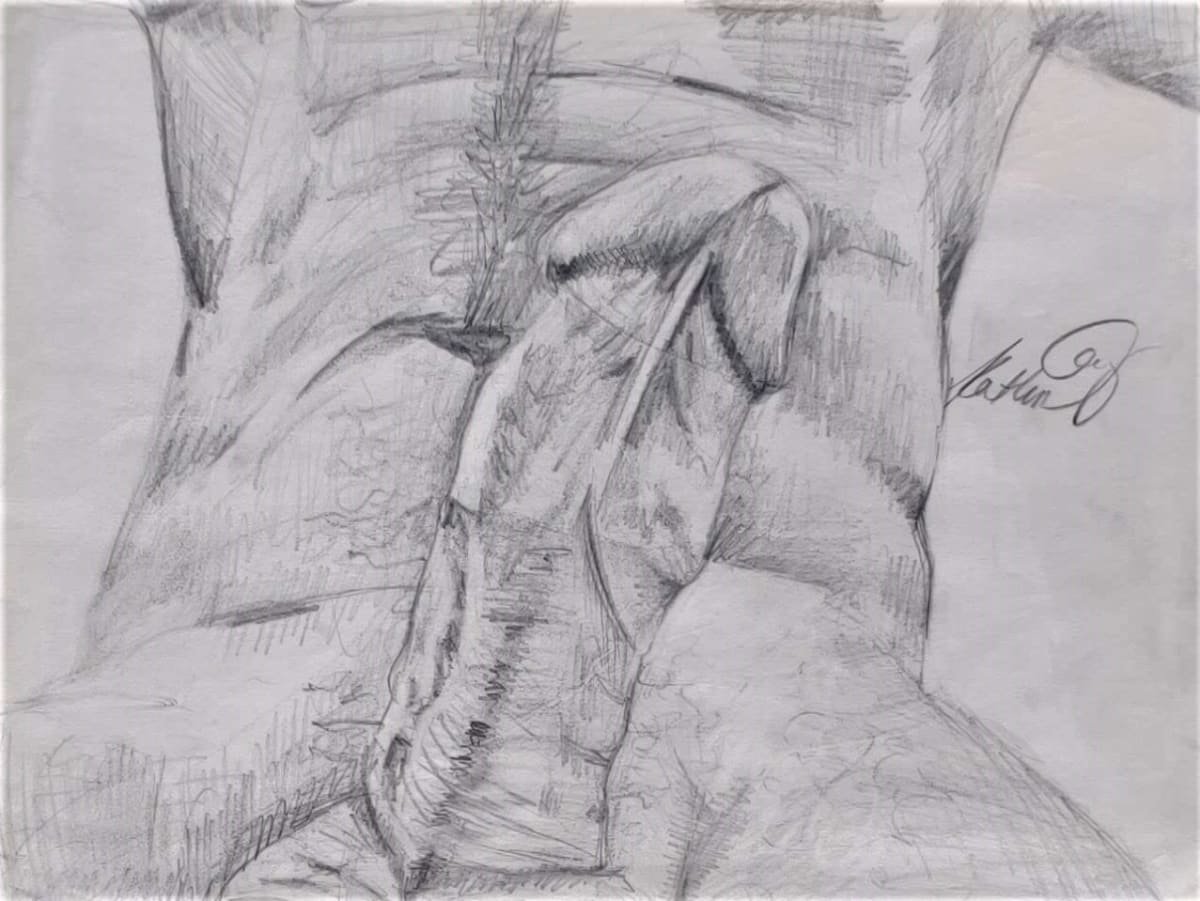 Erection 