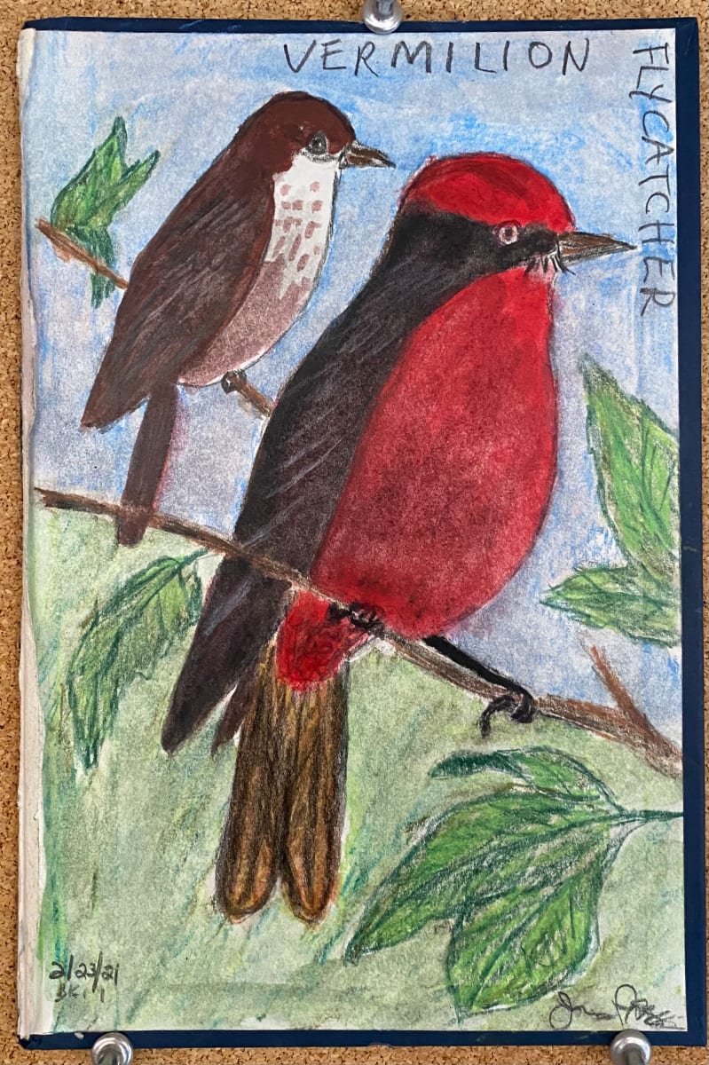 Vermillion Flycatcher (#35) by James Prez 