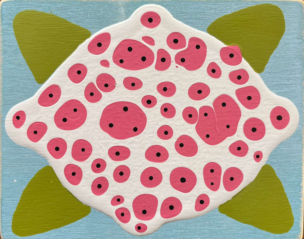 Pomegranate by Peter Voshefski 